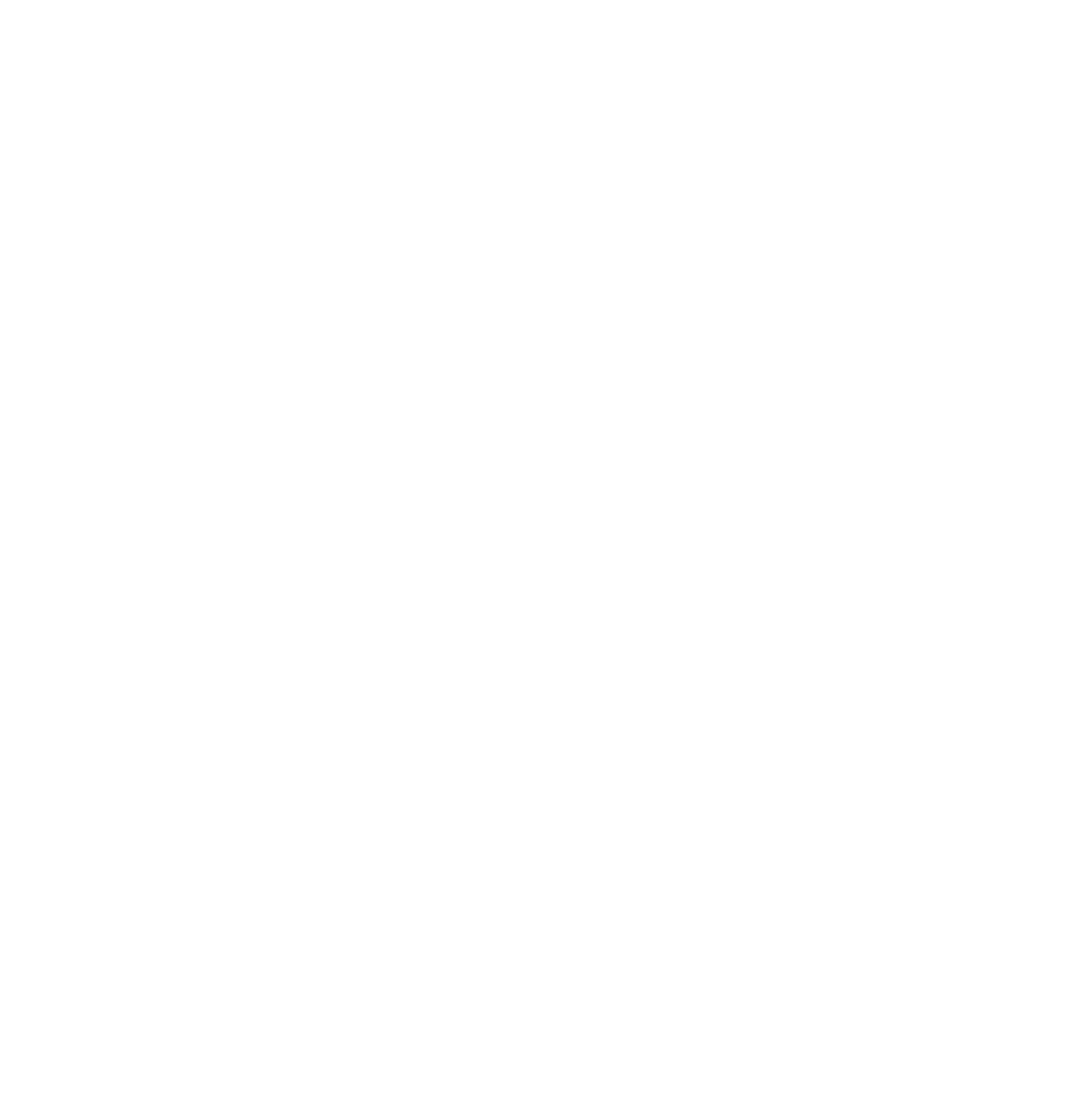 msm-logo-white